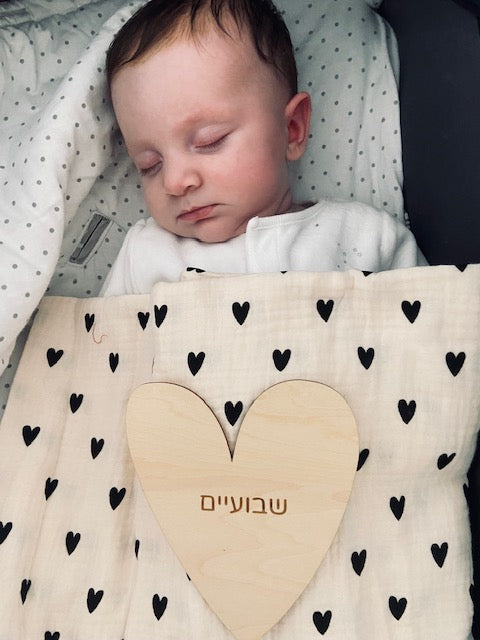כרטיסיות לצילום
