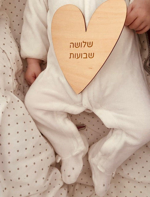 כרטיסיות לצילום